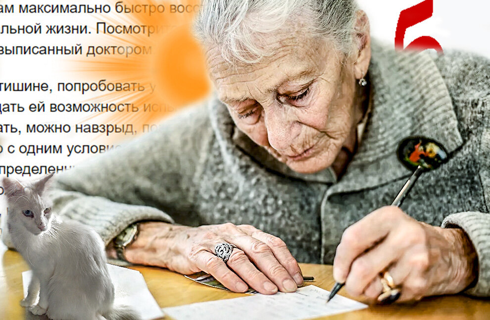 Бабушка пишет, котики скучают