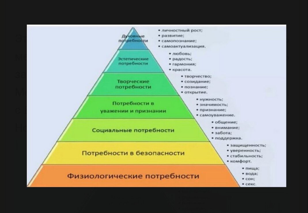 Просмотр отчетов о действиях участника