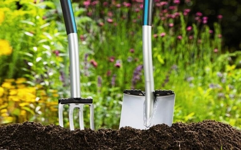 Изображение из открытых источников.