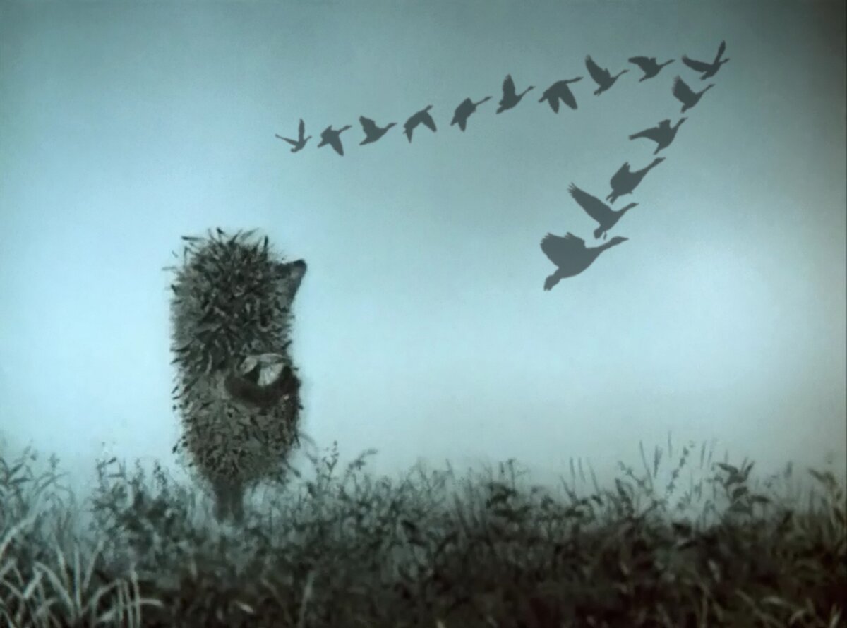 Кадр из мультфильма "Ёжик в тумане"