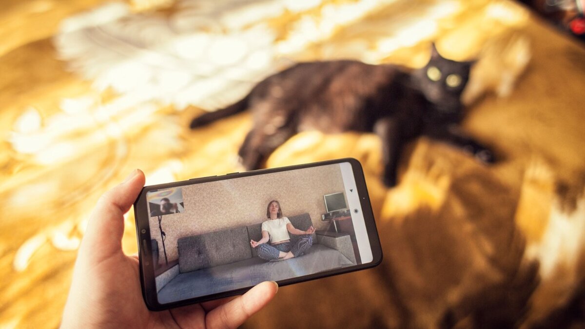 Для этих фоток я поставила телефон на штатив, а штатив на комод.