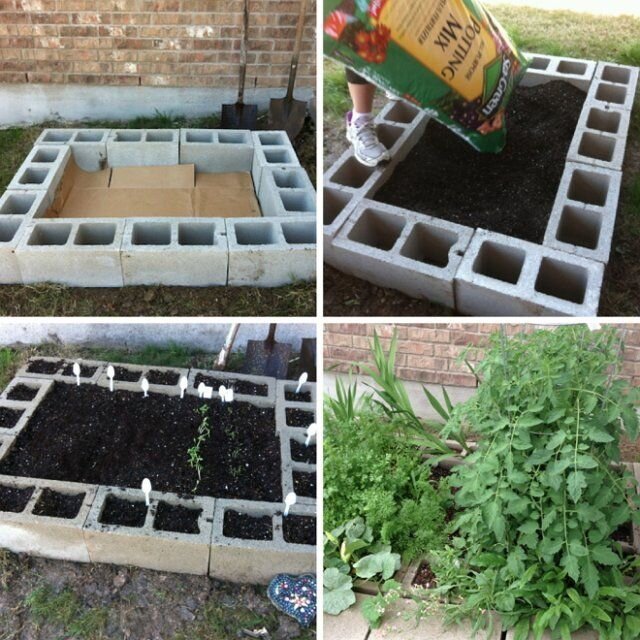 Органические удобрения