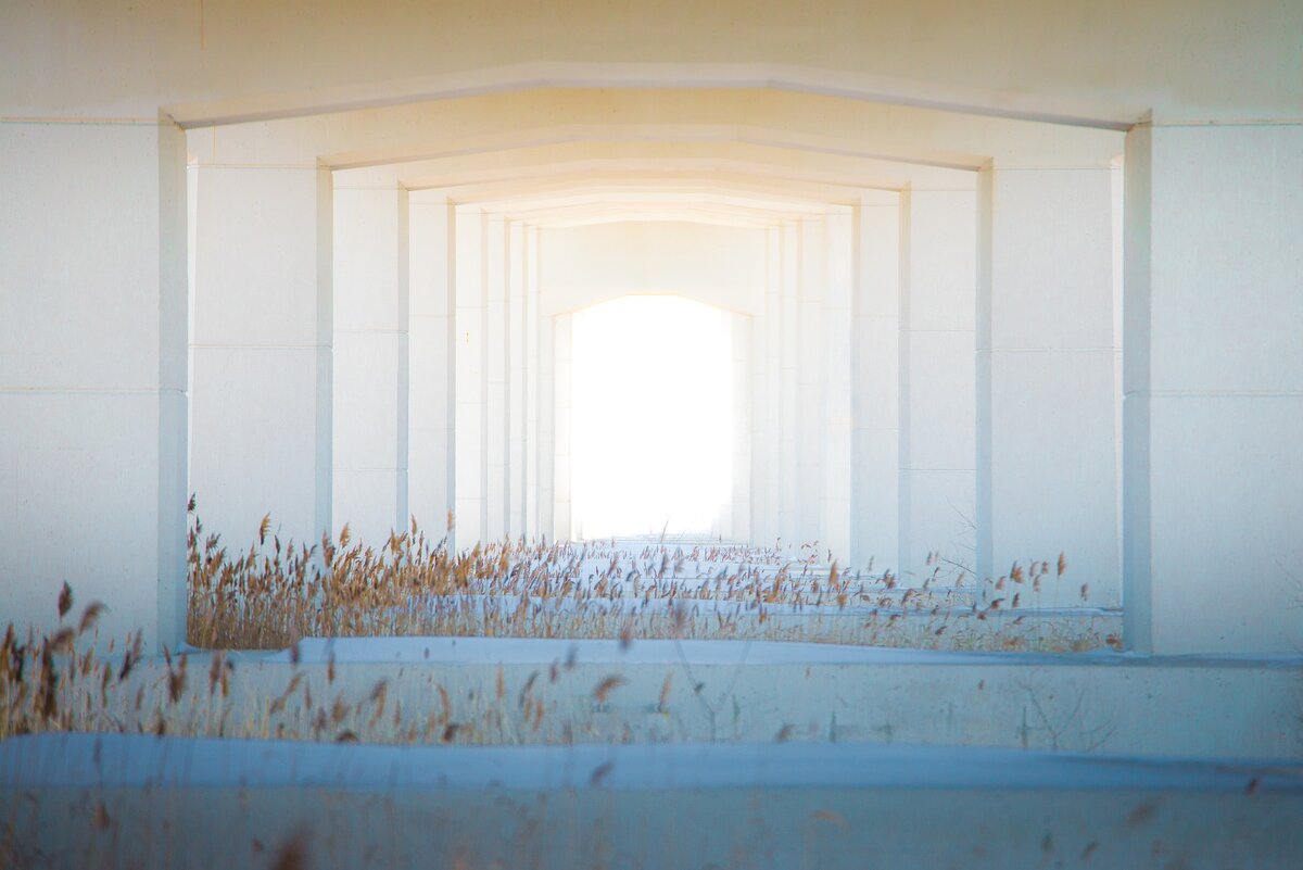 Pixabay License. Указание авторства не требуется