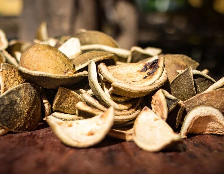Высушенная кожура ларахи (https://curacaoliqueur.spin-cdn.com/46/4/1984/image/format_dried_peels_unique_laraha_orange_website_5daef6330cf93.jpg)