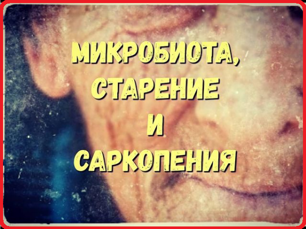 Саркопения