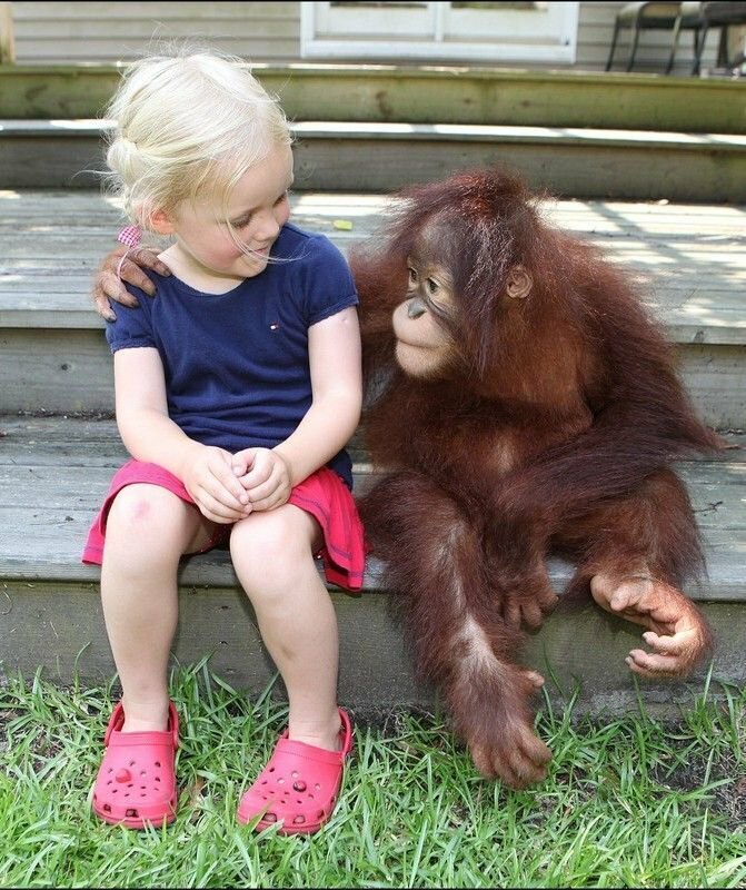 Фото найдено на просторах интернета