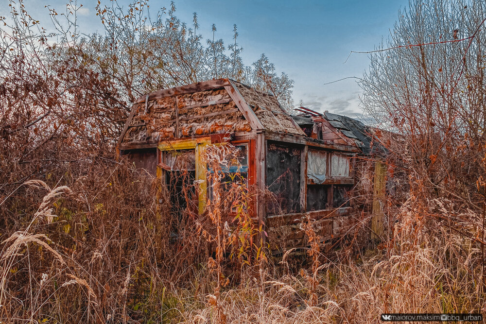 У вас такая заросшая дача картинка