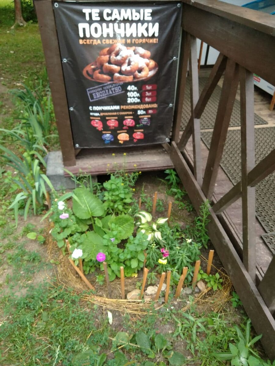 Парень своими руками на вытоптанной земле создал красоту.