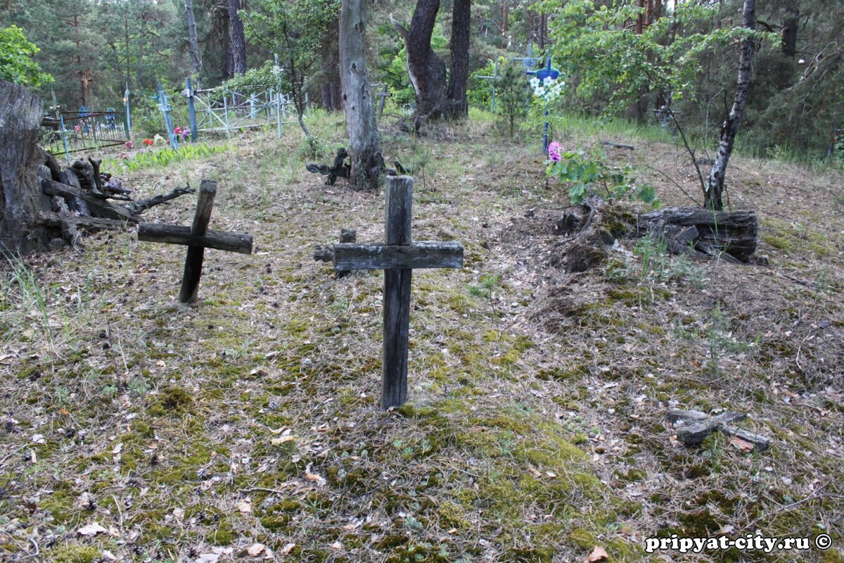 Работа с одноименными могилами. Опасные могилы. Безымянные могилы. |  ⚜Заметки от Светланы Лейхнер⚜ | Дзен