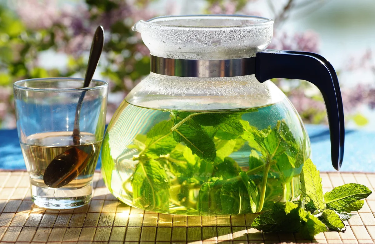 Заварить листья мяты. Herbal Tea мята. Зеленый чай. Чай с мятой. Отвары из растений.