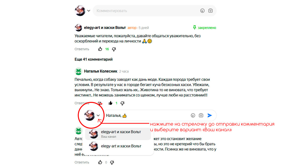 Мои находки в Яндекс.Дзен: как оставить комментарий от имени канала, а не  профиля | Art Dog | Творческая Собака | Дзен