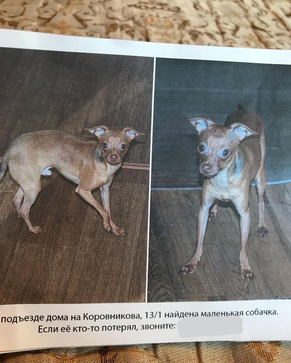 Вот и само объявление