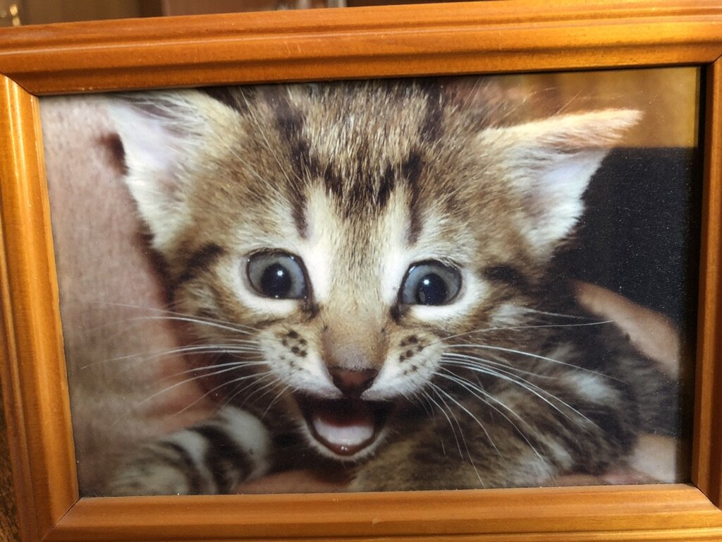 Первый день, первое фото.