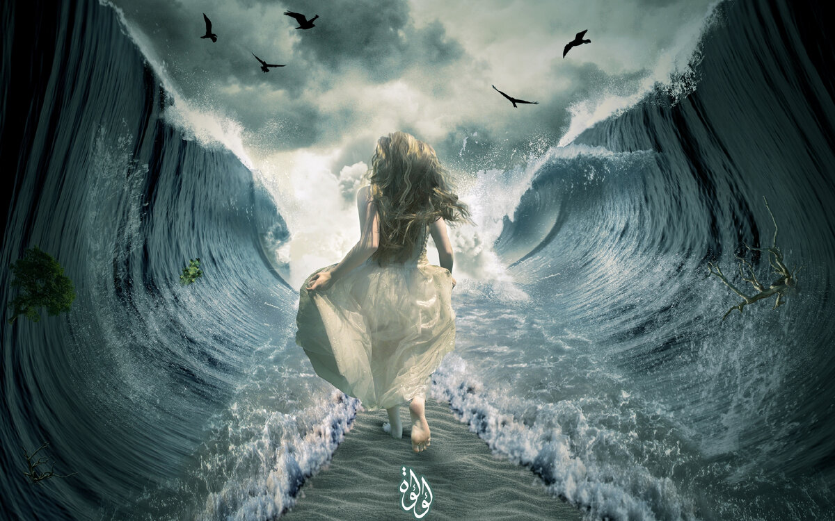 Источник изображения сайт http://co14.nevseoboi.com.ua