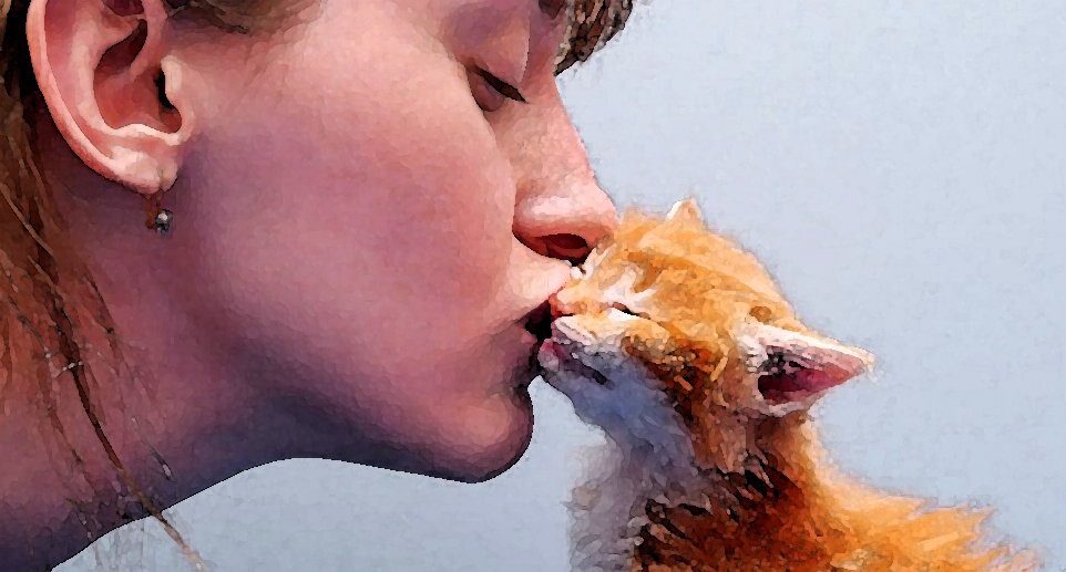 Фото из свободного доступа в обработке автора