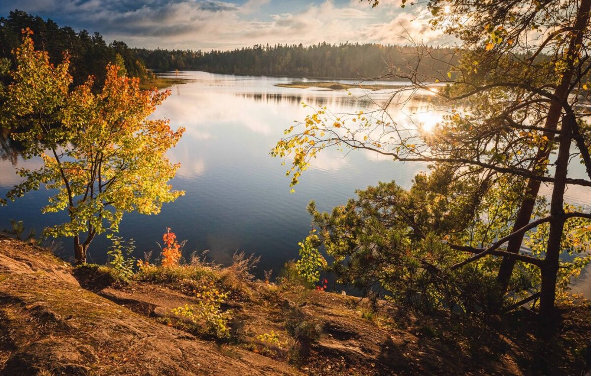 Красота природы севр=ера Ленинградской области не может не завораживать.