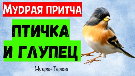 Почему глупые люди остаются в своих рамках всегда?- Притча