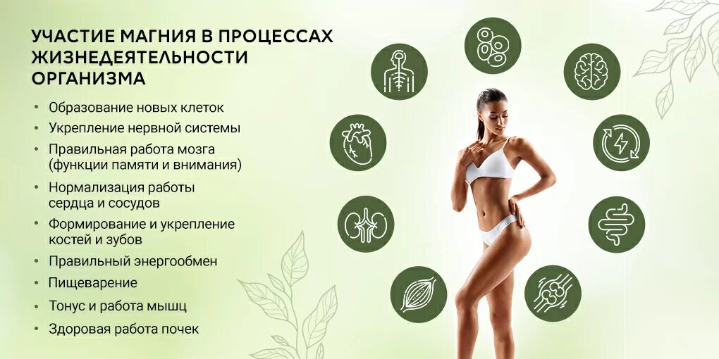 Дефицит магния в организме: как не пропустить тревожные сигналы