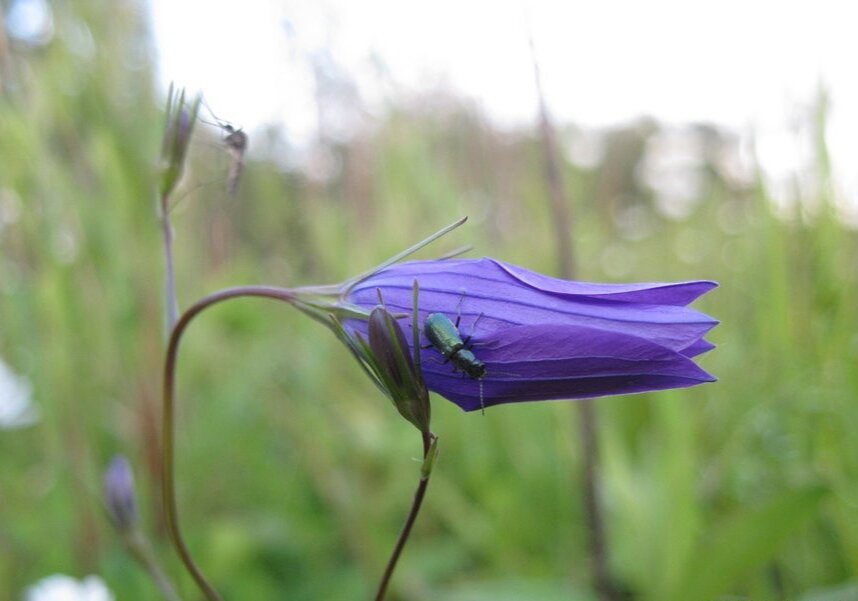 Фото Инны Желтухиной