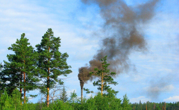 Фото: pixabay.com 