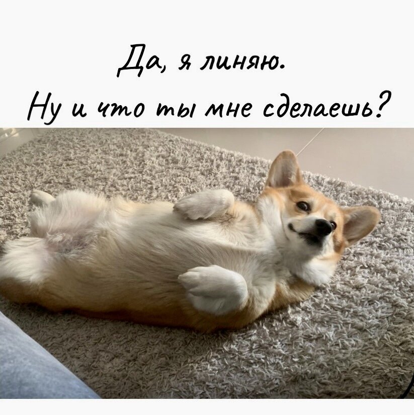 Вопрос риторический.