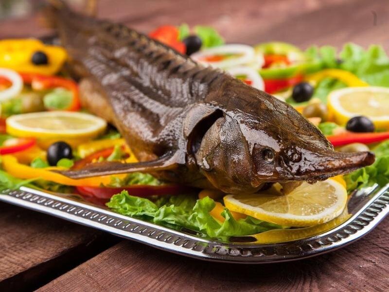 Из открытого источника.