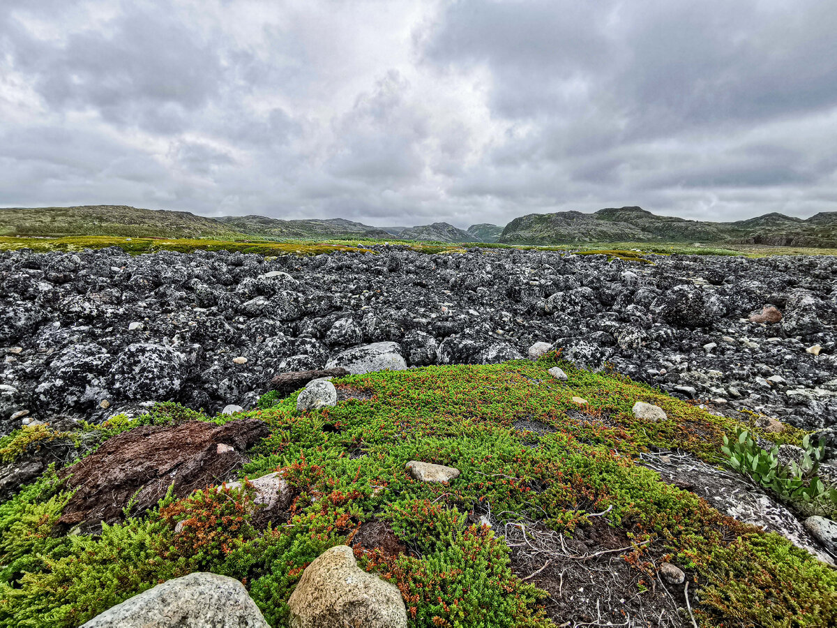 "Драконьи яйца"