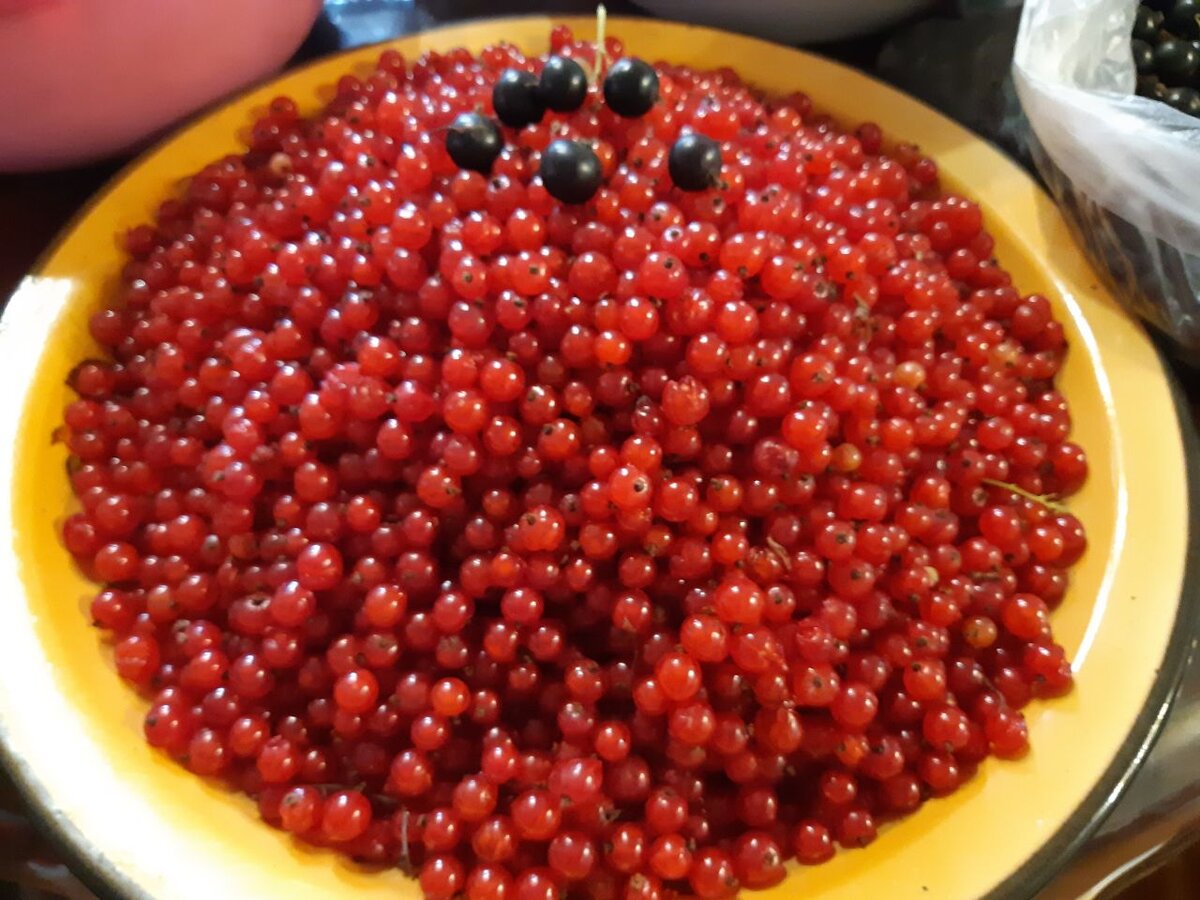 эта пошла на желе. Рецепт - проварить 8 минут, протереть через сито (удалить косточки), еще проварить 10 минут с сахаром. Главное не переварить - получиться желе.