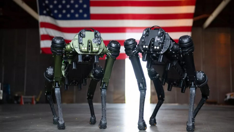 Робособаки от компании Ghost Robotics, модель Vision 60 