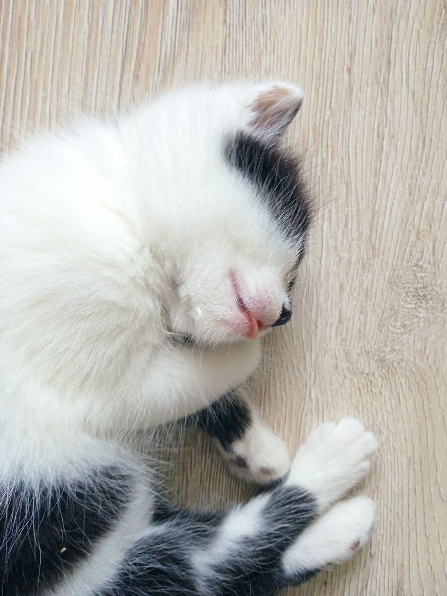 Кайфушки на новом месте