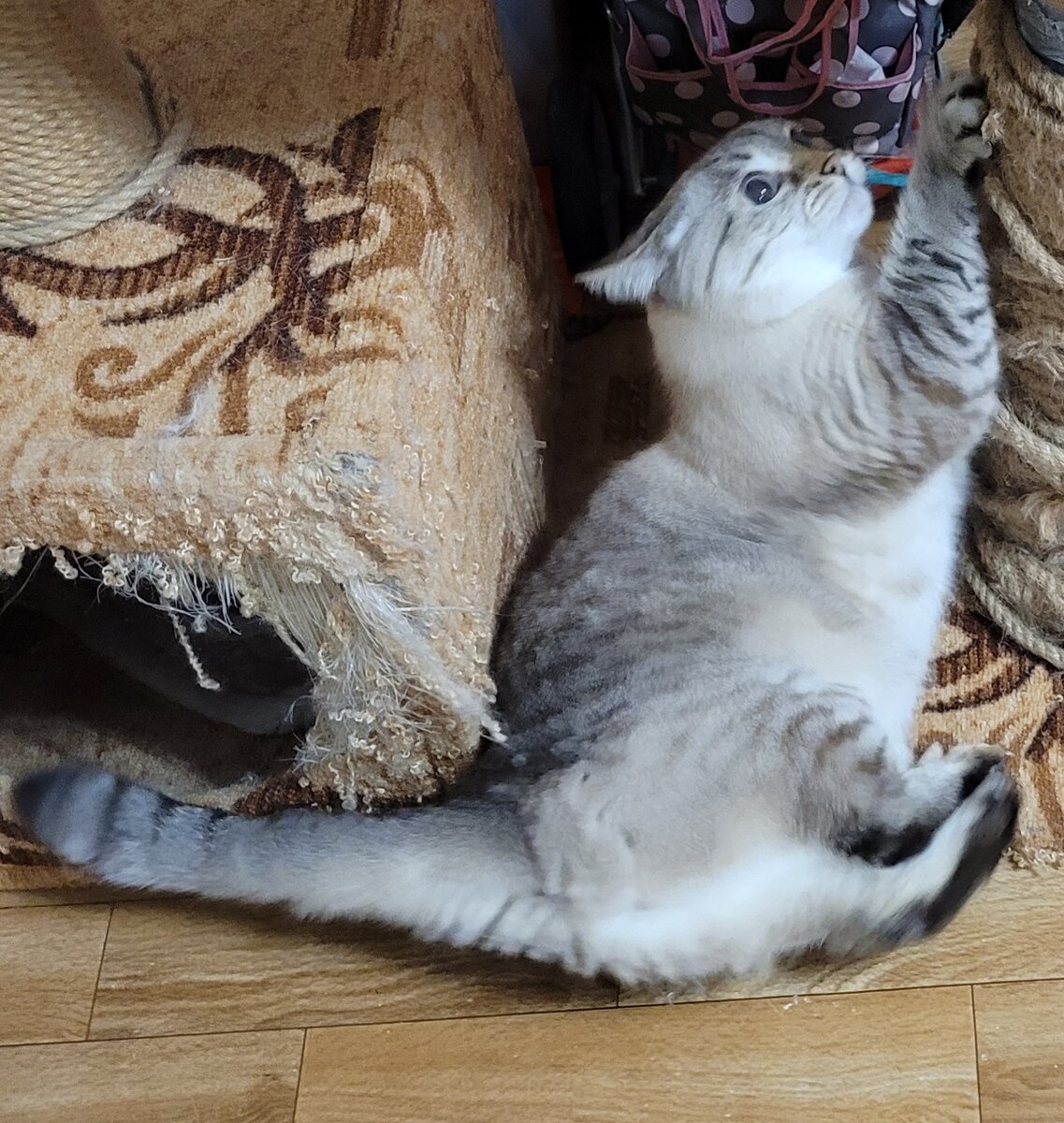 кулаком... в нос! То-то повеселились!