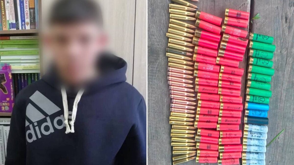 Сбежавший с ружьями детдомовец из Бородино рассказал, почему так поступил. Его осудят