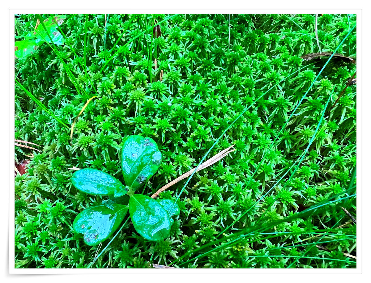 Он разный, его много, и он — кругом... Его просто тьма!!!