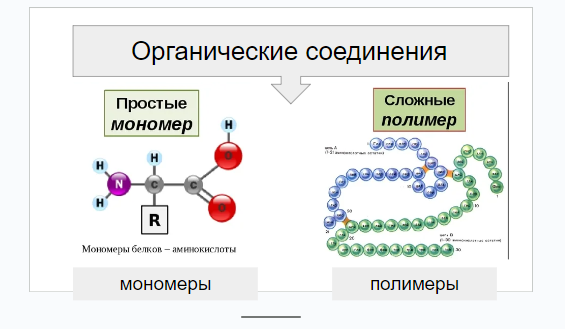 Белки строение мономера. Полимеры это в биологии. Биологические полимеры