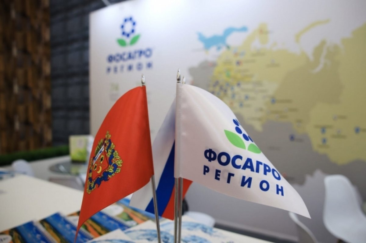    Потенциал роста.