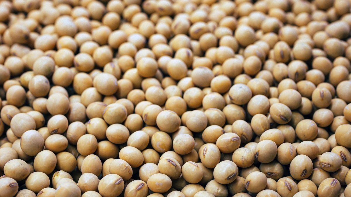    Фото: Unsplash Август Макаров