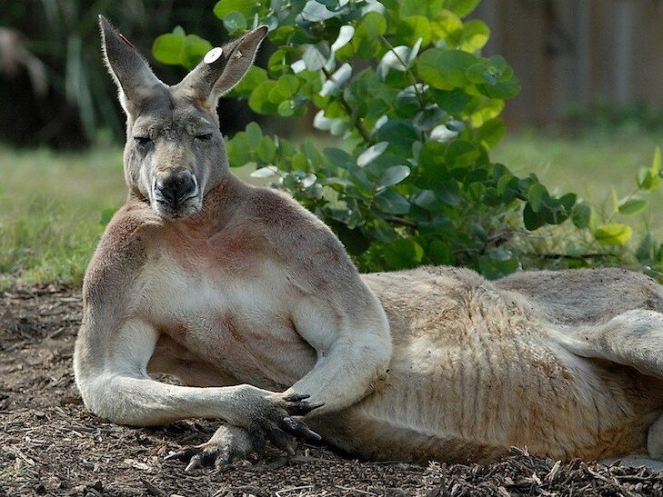 Все может быть...