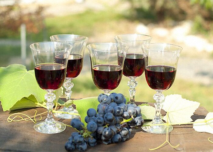 Рецепт: домашнее виноградное сухое вино — часть 1