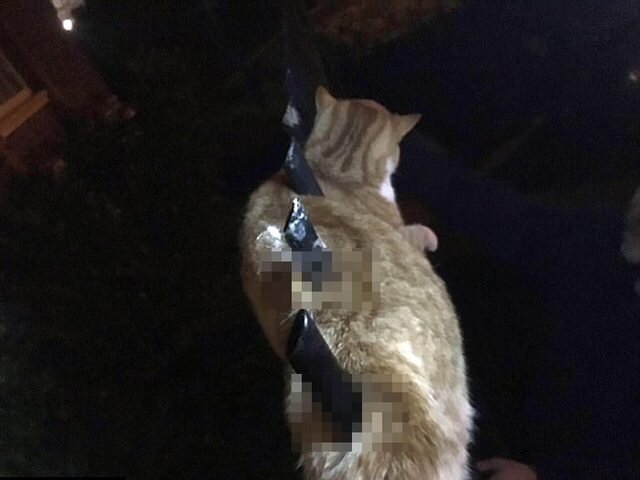 -2