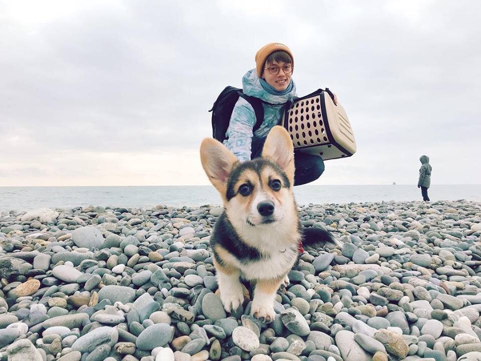 Элли на пляже в Адлере. На  руках - наша звёздная переноска.