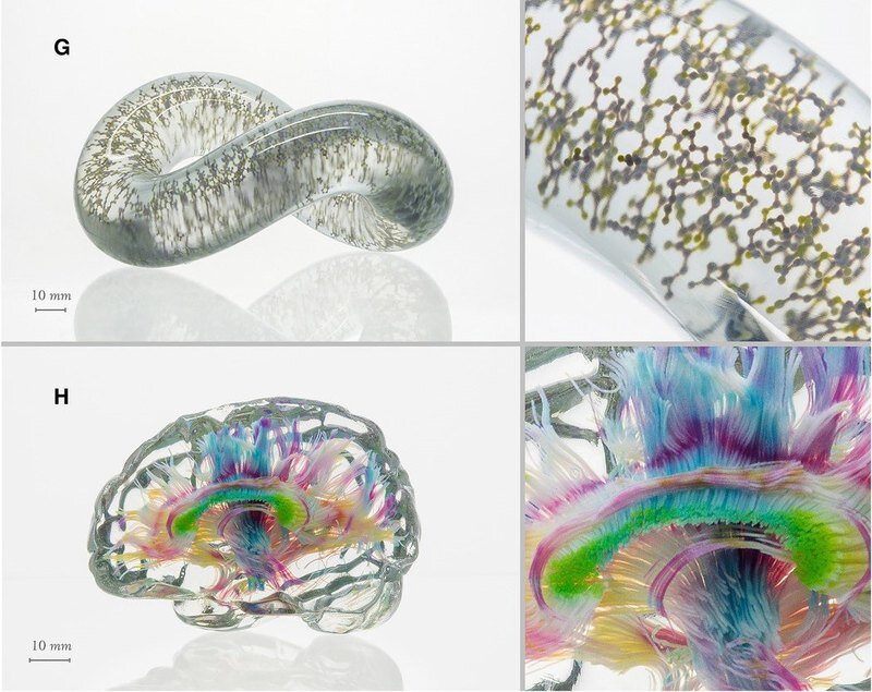 Science Advances (2018).