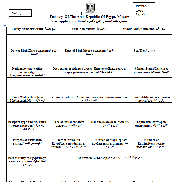 Http passport mfa gov ua сайт. Анкета на визу в Египет образец заполнения. Форма заполнения анкеты для Египта. Анкета на визу в Египет. Анкета на визу Египет образец.