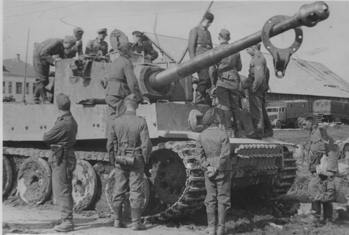 Немецких танков генерал. Танк тигр 1942 года. Танк тигр Мга 1942. Танки тигр Мга 1943.