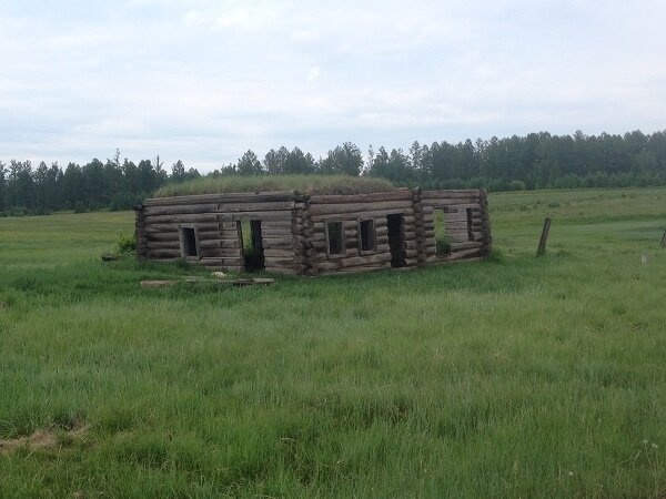 вместо крыши — трава