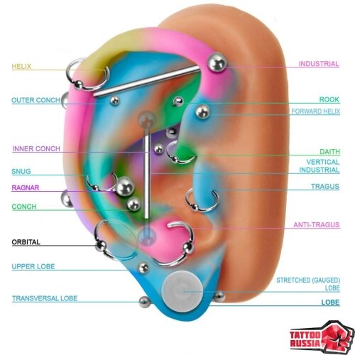 И ещё для наглядности
