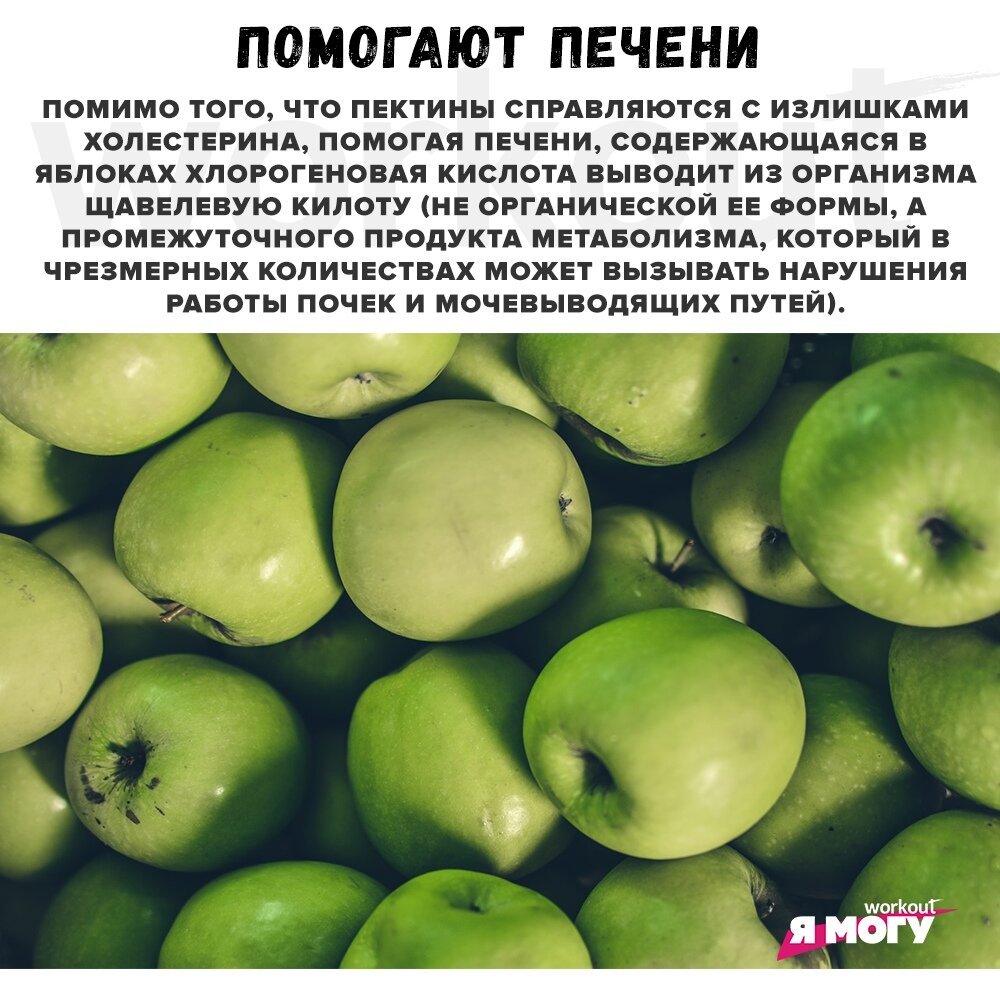 В какое время нужно есть яблоки. В какое время нужно есть яблоки