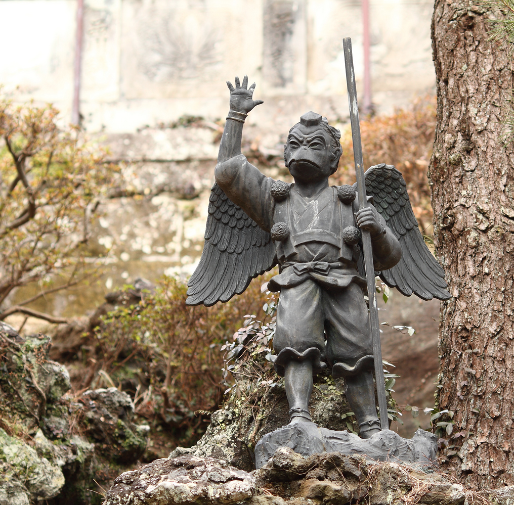 В образе человека-ворона (из salik.biz)