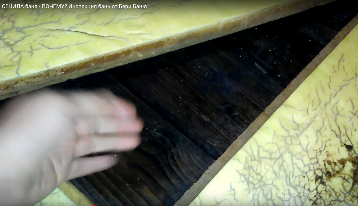 Это то что твориться под полом в бане у д.Коли
