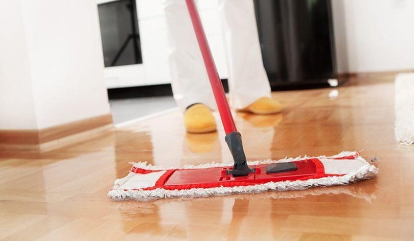 взято с zveridoma.com