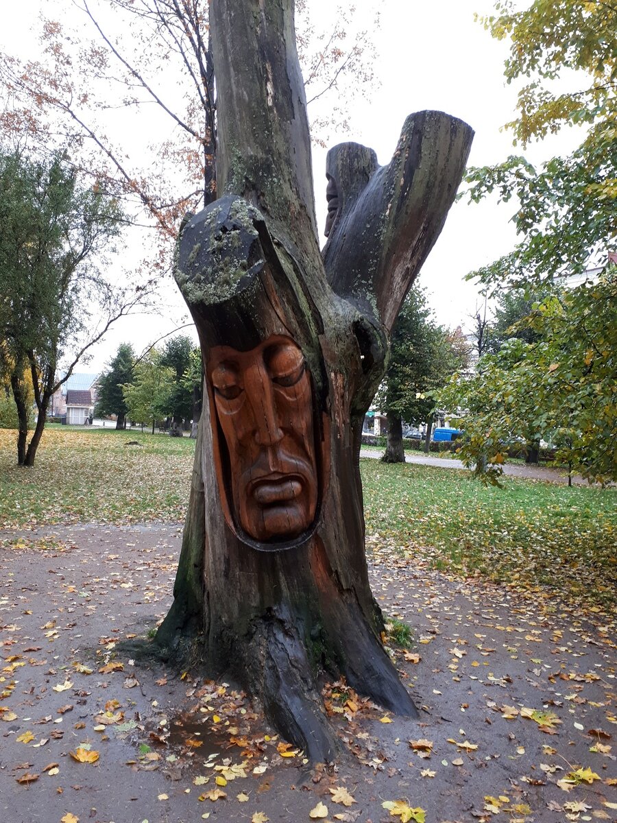 Дерево со скорбными лицами